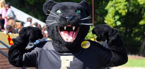The Psychology Behind the College Panther Mascot: What Students and Fans Love About It